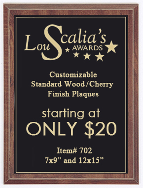 Cheap Award Plaque 702