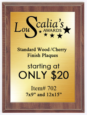 Cheap Award Plaque 702