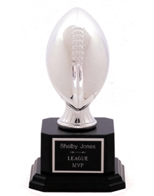 Fantasy Football Award